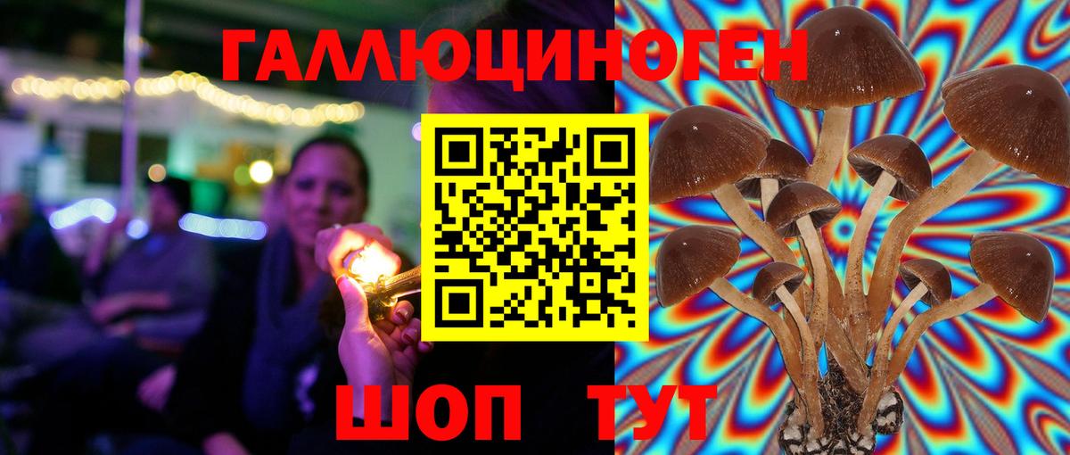 Псилоцибиновые грибы ЛСД  Псилоцибиновые грибы Cubensis  Вход с VPN  Ярцево 