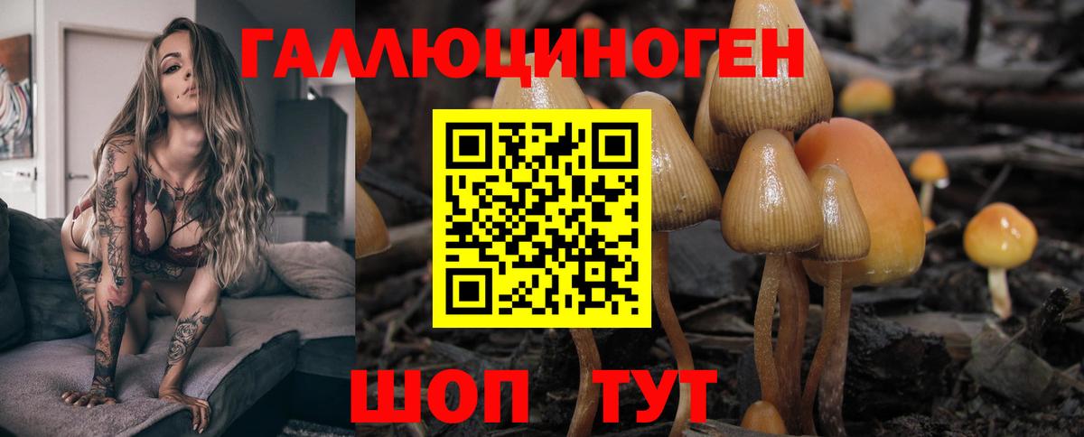 Псилоцибиновые грибы Cubensis Ярцево